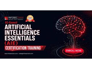 AIE Training Program