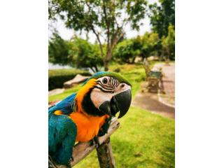 Book a Sandoval Lake 3-Day Tour in Tambopata Peru