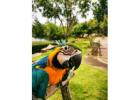 Book a Sandoval Lake 3-Day Tour in Tambopata Peru