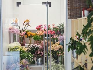PVC Grow Room Panels- Where Hygiene Meets Performance