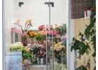 PVC Grow Room Panels- Where Hygiene Meets Performance