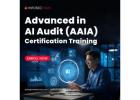 AAIA Training Program