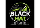  black hat seo expert 
