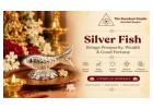 Buy Silver Fish (Chandi Ki Machli) Online at Best Price