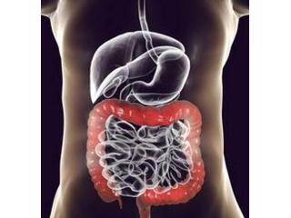 Stomach and Colonic Surgeries in Kolkata – Dr. Purnendu Roy