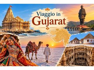 Viaggio in Gujarat | Prem Viaggi