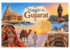 Viaggio in Gujarat | Prem Viaggi
