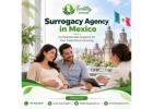 Understanding Agency Coordination and Surrogacy Arrangements in Mexico
