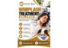 Whiplash Treatment in Orlando for Car Accident Injuries