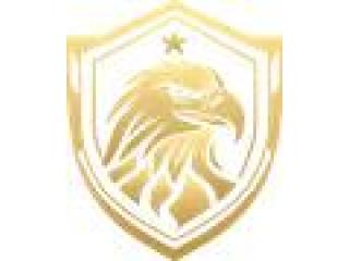 Private Detective Virginia – Professional Investigation Services