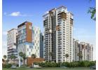 Luxury Apartments in Kokapet Hyderabad | Premium Residential in Hyderabad - Eka One Infra