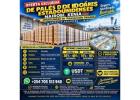 OPORTUNIDAD DE ADQUISICIÓN DE PALETAS DE EFECTIVO EN USD | NAIROBI, KENIA
