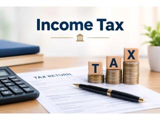 How Can Professional Income Tax Services Help You Manage Tax Compliance and Disputes?