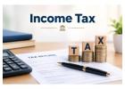 How Can Professional Income Tax Services Help You Manage Tax Compliance and Disputes? 