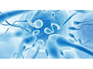 Male Fertility Tests in Delhi - Dr Rhythm Gupta