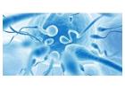 Male Fertility Tests in Delhi - Dr Rhythm Gupta