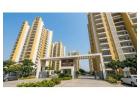 Compare Tulip Yellow Sector 69 Gurgaon Before Buying - Prooperty.com