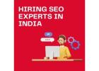 Hire SEO Expert for Higher Rankings