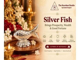 Order Silver Fish (Chandi Ki Machli) Online at Best Price | The Stardust Studio