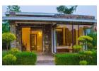 Looking for the Best Pet-Friendly Resort in Jim Corbett?