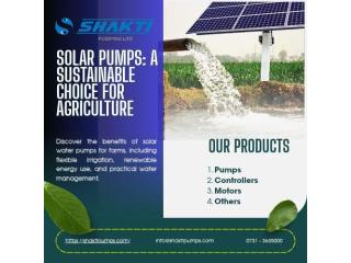 Solar Pumps: A Sustainable Choice for Agriculture