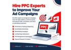 Hire a Dedicated PPC Expert for Better Ad Results