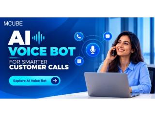 Turn Everyday Calls into Better Customer Experiences with Ai Voice Bot