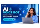 Turn Everyday Calls into Better Customer Experiences with Ai Voice Bot