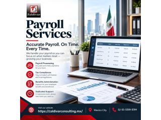 Payroll Services in Mexico City