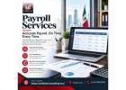 Payroll Services in Mexico City