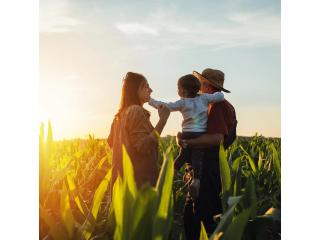 Estate and Succession Planning Certified Public Accountant | Frostpllc.com