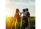 Estate and Succession Planning Certified Public Accountant | Frostpllc.com