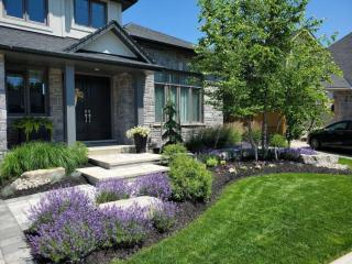Synthetic Grass and Turf | Mountviewservices.com