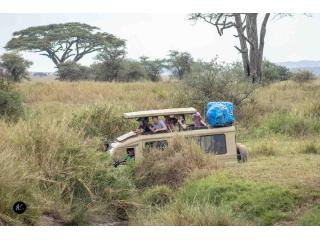 Tanzania Safari Packages | 3-Day Tarangire, Ngorongoro & Lake Manyara Safari