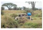 Tanzania Safari Packages | 3-Day Tarangire, Ngorongoro & Lake Manyara Safari
