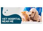 Veterinary Hospital Near Me for Pet Health Checkups and Heartworm Care