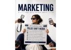 Where Creativity Meets Data for Real Growth