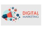 Best Digital Marketing Training Institute in Delhi India