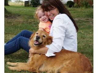 Golden Retriever Puppies Indiana – Start Your Journey to a Loyal Companion