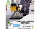Carpet Cleaning Services Pittsburgh for Cleaner Homes