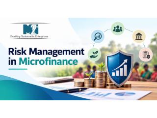 Risk Management in Microfinance for Responsible Lending Practices