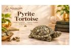Shop Pyrite Tortoise Online at Best Price | The Stardust Studio
