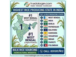Highest Rice Producing State in India | Top 10 States