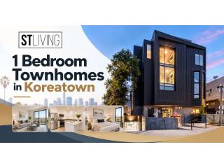 1 Bedroom Townhomes in Koreatown with Private Rooftop Decks