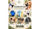 Buy Quality Pet Accessories for Everyday Comfort