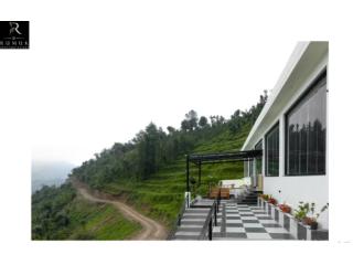 Nature and Luxury in Dhanaulti