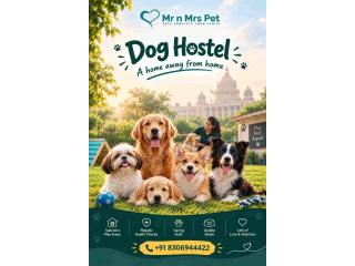Dog Hostel in Bangalore