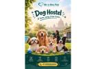 Dog Hostel in Bangalore