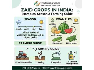 Zaid Crops in India: Examples, Season & Farming Guide | Tradologie