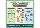 Rabi Crops List: Examples, Season & Farming Guide | Tradologie  